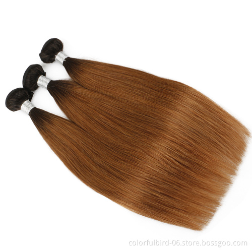 Ombre Bundles And Closure 1B/30 Color Bundles With Closure Ombre Colored Brown Brazilian Ombre Hair Bundles With Closure